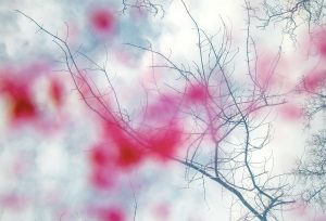 Tree branches without leave against a plan blue sky. Dots and blobs of red and pink inks dot the entire image. 